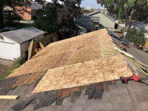 new roof - ply board