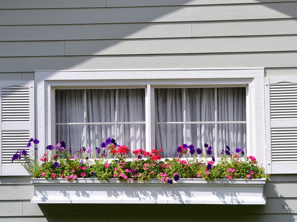 Window box filled with colorful flowers underneath a window and shutters